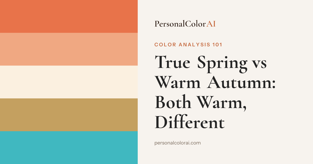 True Spring vs Warm Autumn: Both Warm, Totally Different — Korean color analysis palette