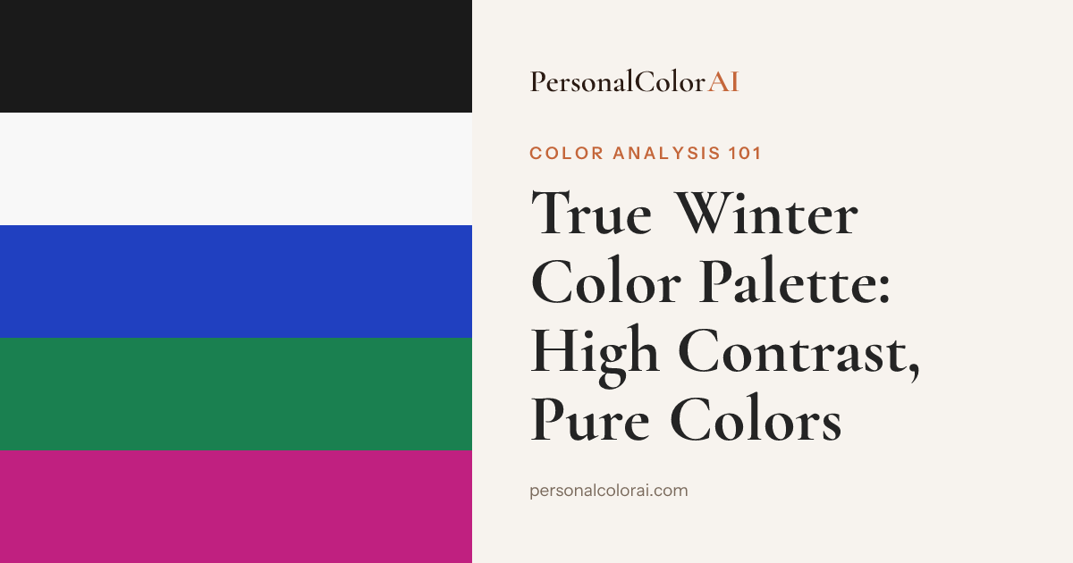 True Winter Color Palette: High Contrast, Pure Colors — Korean color analysis palette