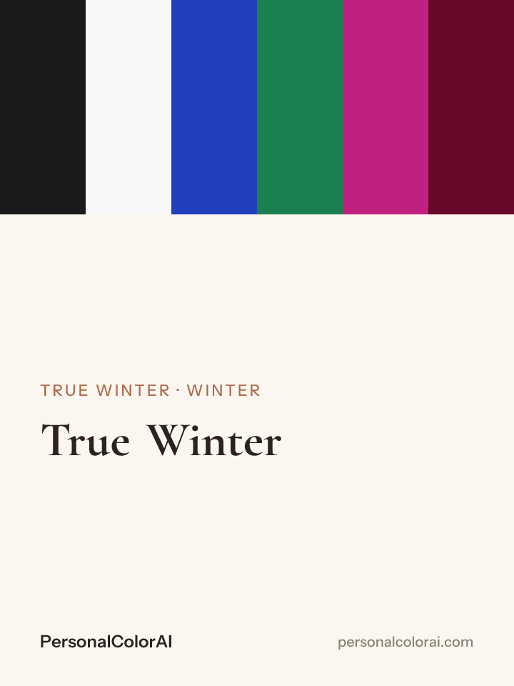 True Winter Color Palette: Your Best Colors